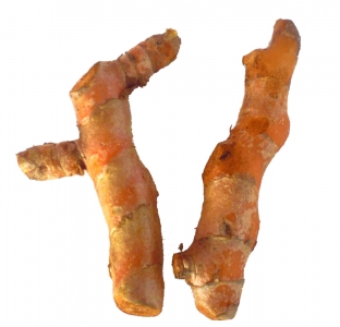 Kurkuma