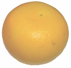 Grapefruit