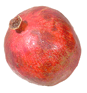 Granatapfel